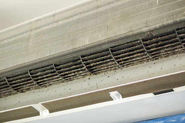 Best Residential Air Duct Cleaning  in Ketchikan, AK